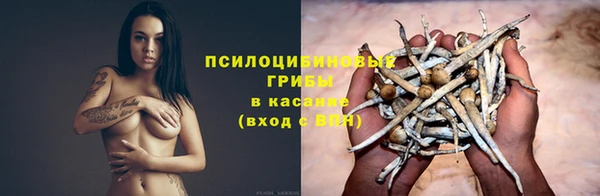 бошки Заволжье