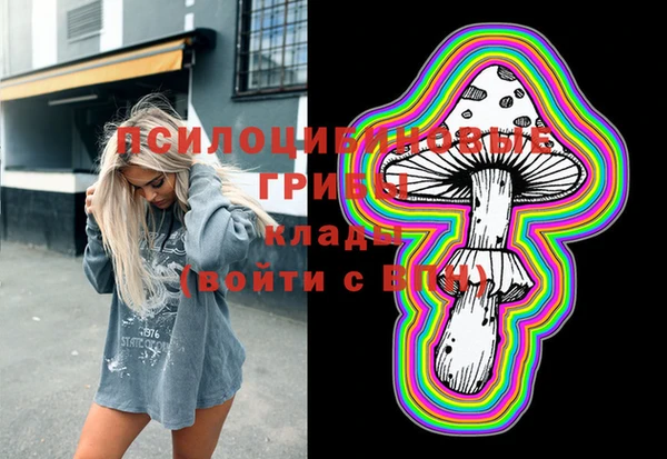 бошки Заволжье